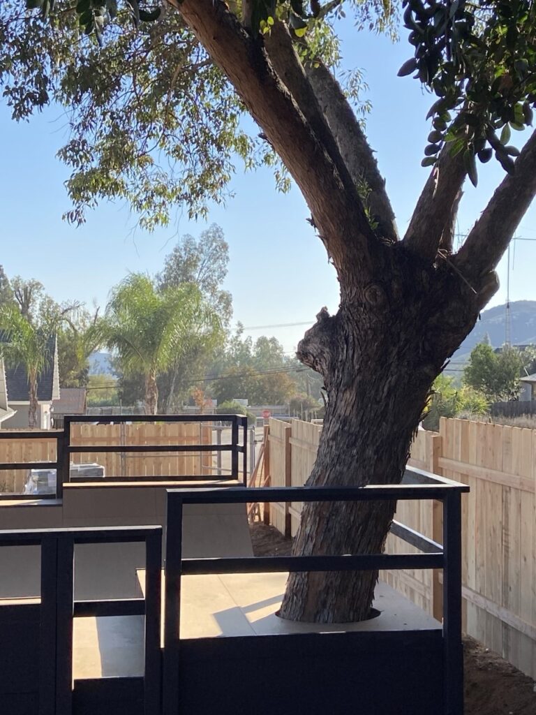 Tree Crest, photo 4