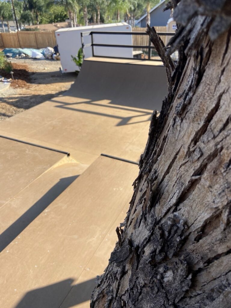 Tree Crest, photo 6