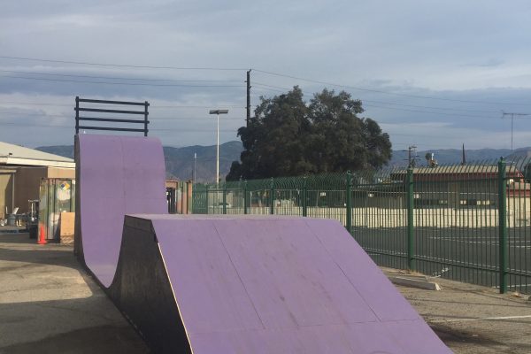 Jim Bell Skateboard Ramp - Roll In Purple Launch Ramp Jim Bell Skateboard Ramp - Roll In Purple Launch Ramp
